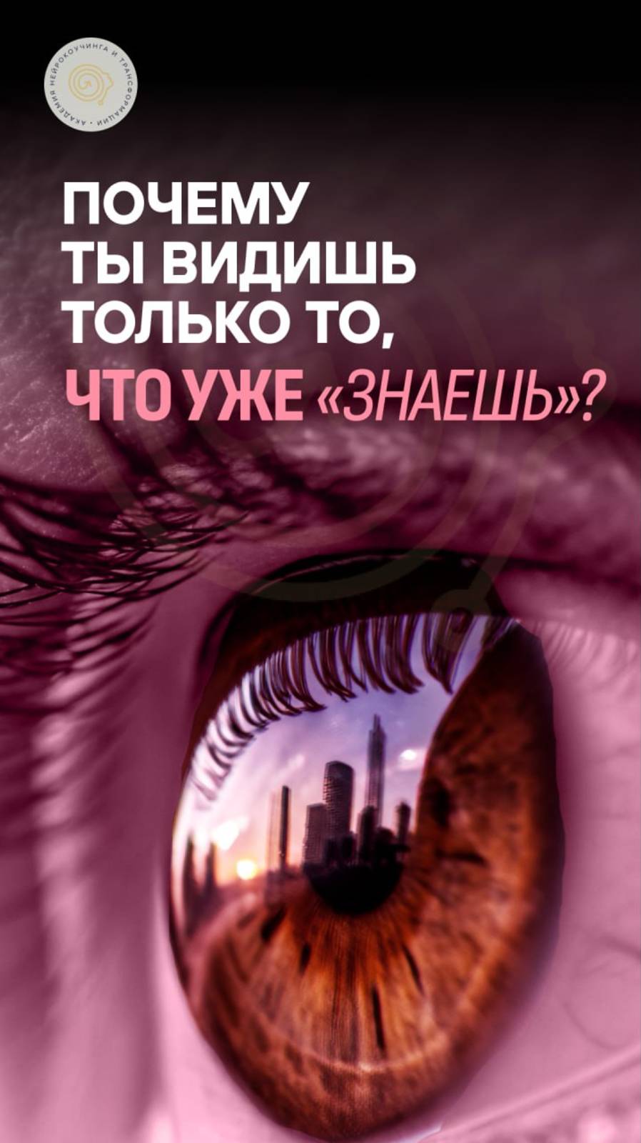 Почему ты видишь только то, что уже «знаешь»?