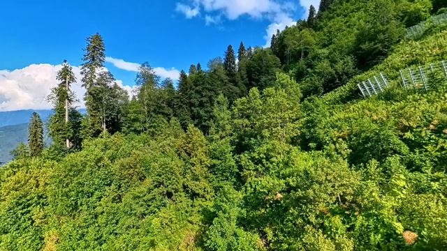 Сочи Красная поляна смотреть онлайн