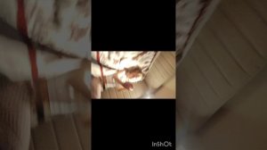 синий малыш не когда не вызывай его!!!