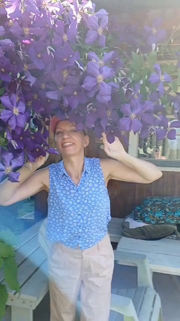 Облако из клематиса смотреть онлайн