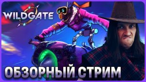 Wildgate. Прокачки нет, выноса лута нет. И что делать в игре? Обзорный стрим