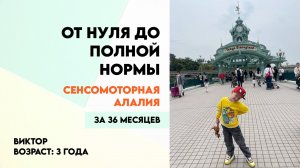 Сенсомоторная алалия - не аутизм. От 0 до полной возрастной нормы у мальчика 3-х лет за 36 месяцев.