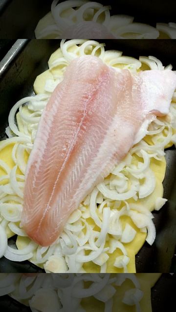 Ольга и мир природы