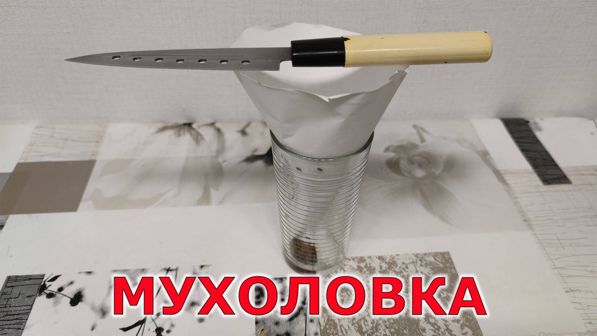 Какая мухоловка лучше? Лайфхак или КАК смотреть онлайн