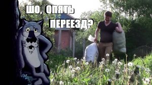 👀5-й ПЕРЕЕЗД ЗА 3 ГОДА | Поиски дома | Начинаем новый проект - Ежевичный сад 2.0