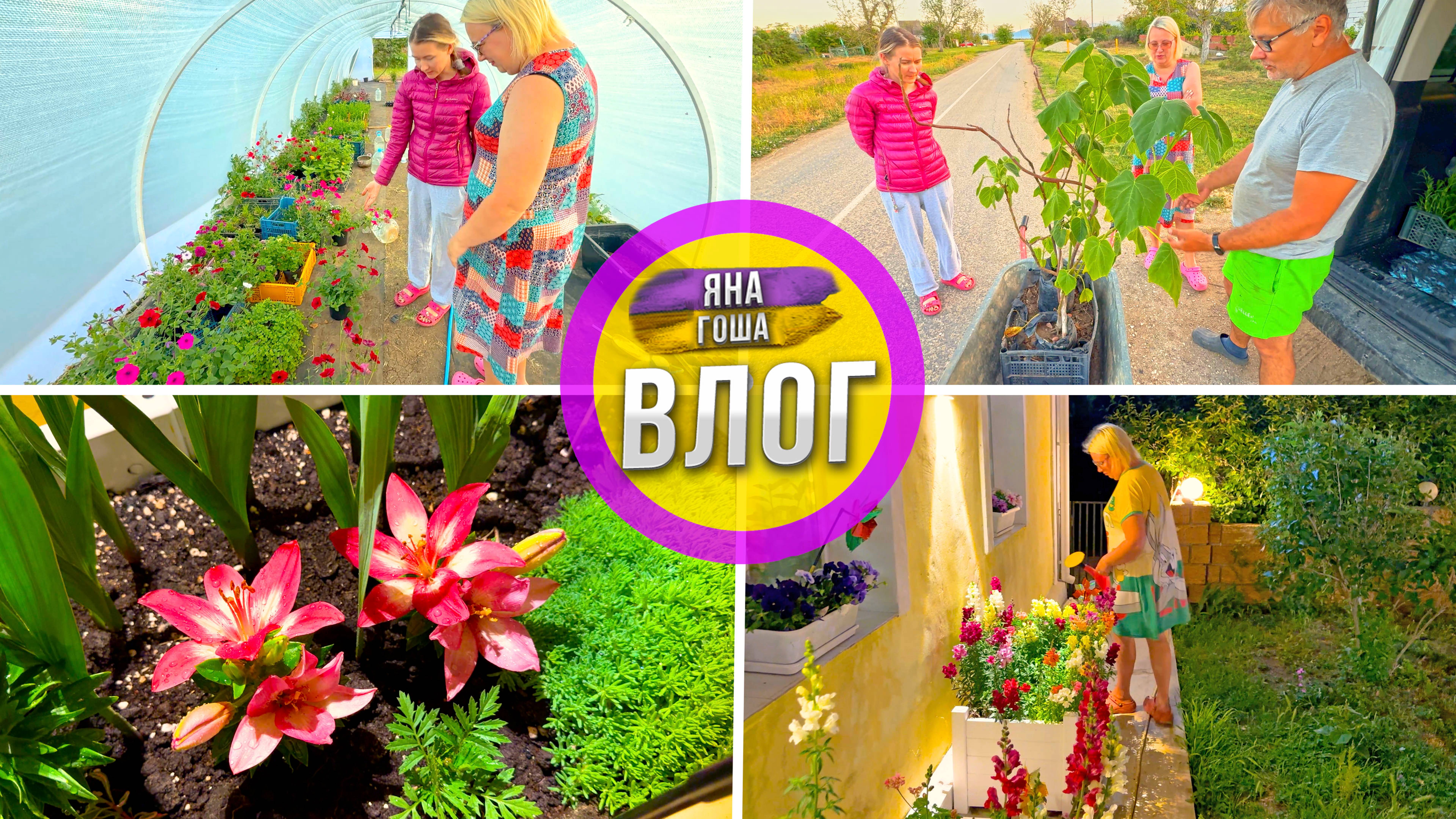 Осторожно: могут заболеть глаза от красоты! Очень много цветов в этом влоге! Попробовали дубайский ш смотреть онлайн