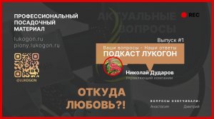 ПОДКАСТ ЛУКОГОН #1
Очистка луковиц от шелухи Выбор сорта тюльпанов Любовь к делу и Биоинженерия