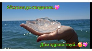 Переезд из Сибири на юг. Наслаждаемся южной жизнью 💖