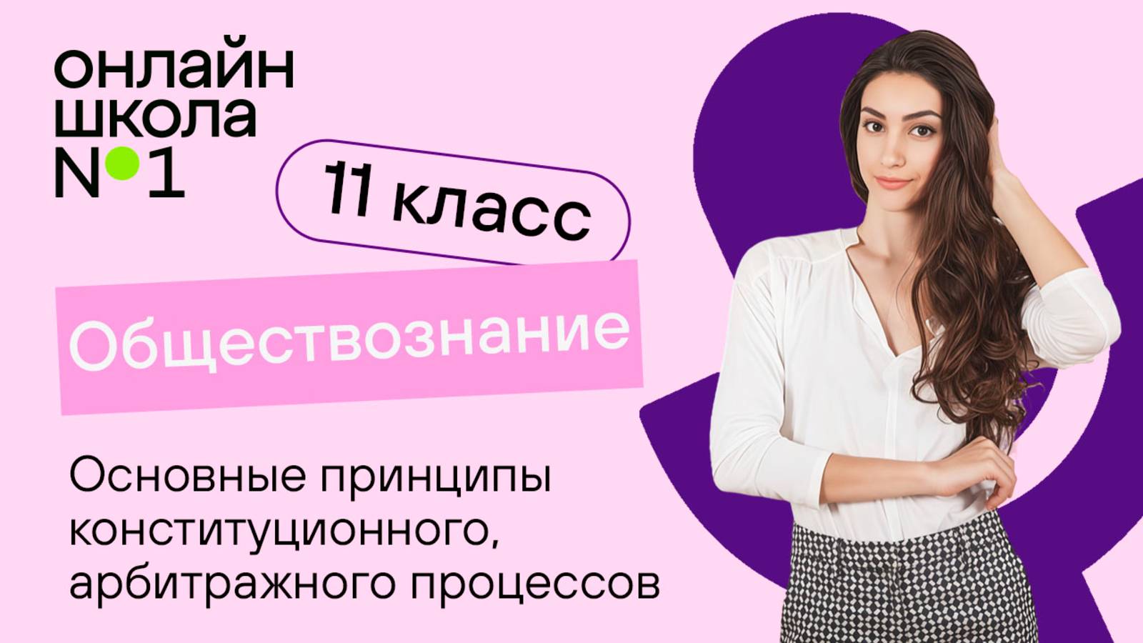 Основные принципы конституционного, арбитражного процессов. Видеоурок 27. Обществознание 11 класс