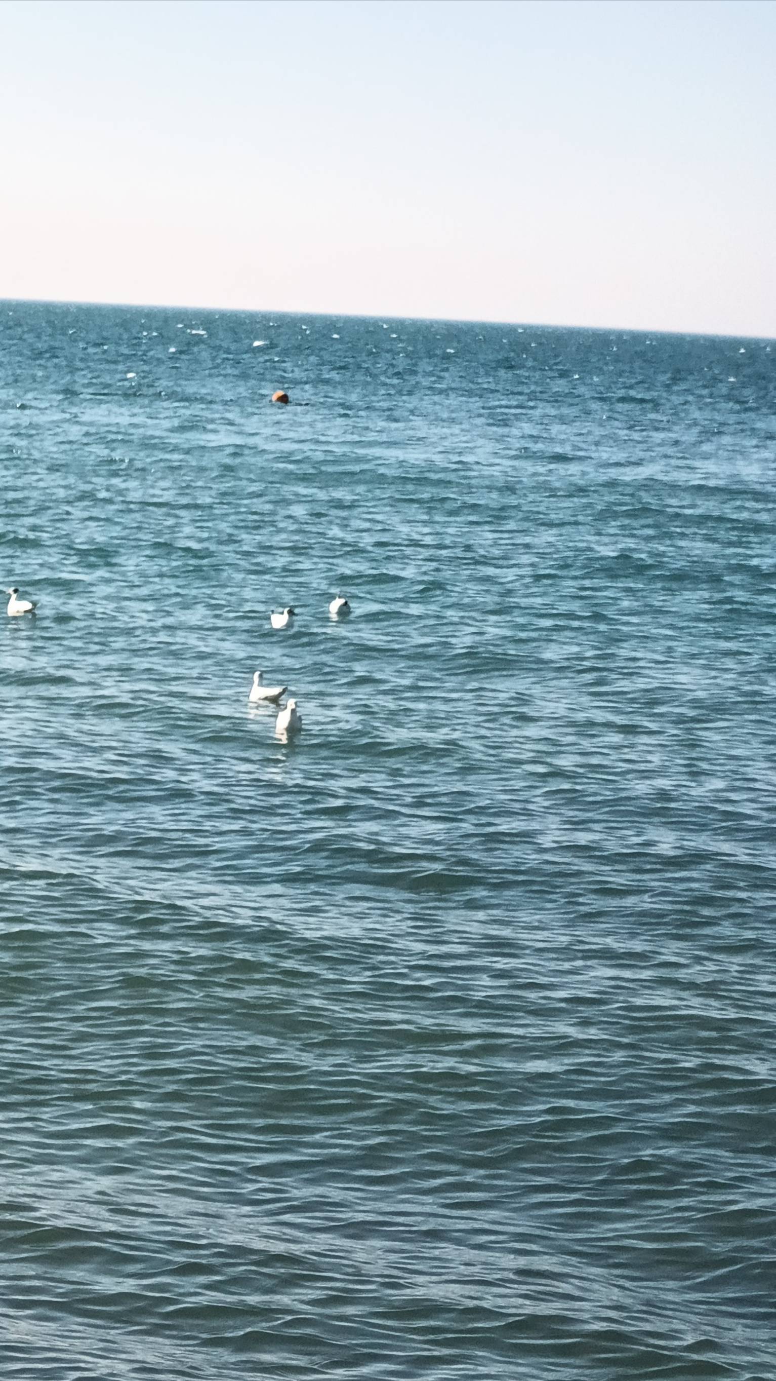 Путешествие по вечернему морю! смотреть онлайн