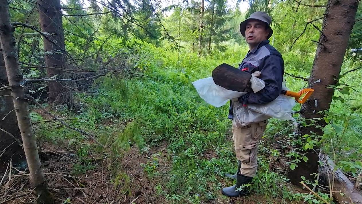 В поисках елового опада. Собираю урожай овощей. Получила водительское удо-е. Новые цветы в сад. смотреть онлайн