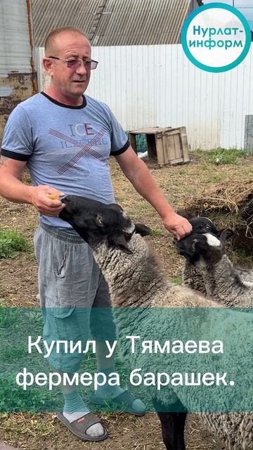 От поля боя к фермерству: как Фонд «Защитники Отечества» помогает ветеранам адаптироваться смотреть онлайн