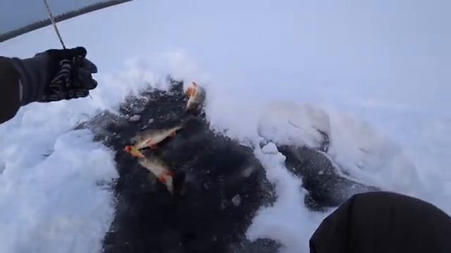 Зимняя рыбалка смотреть онлайн