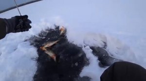 Зимняя рыбалка