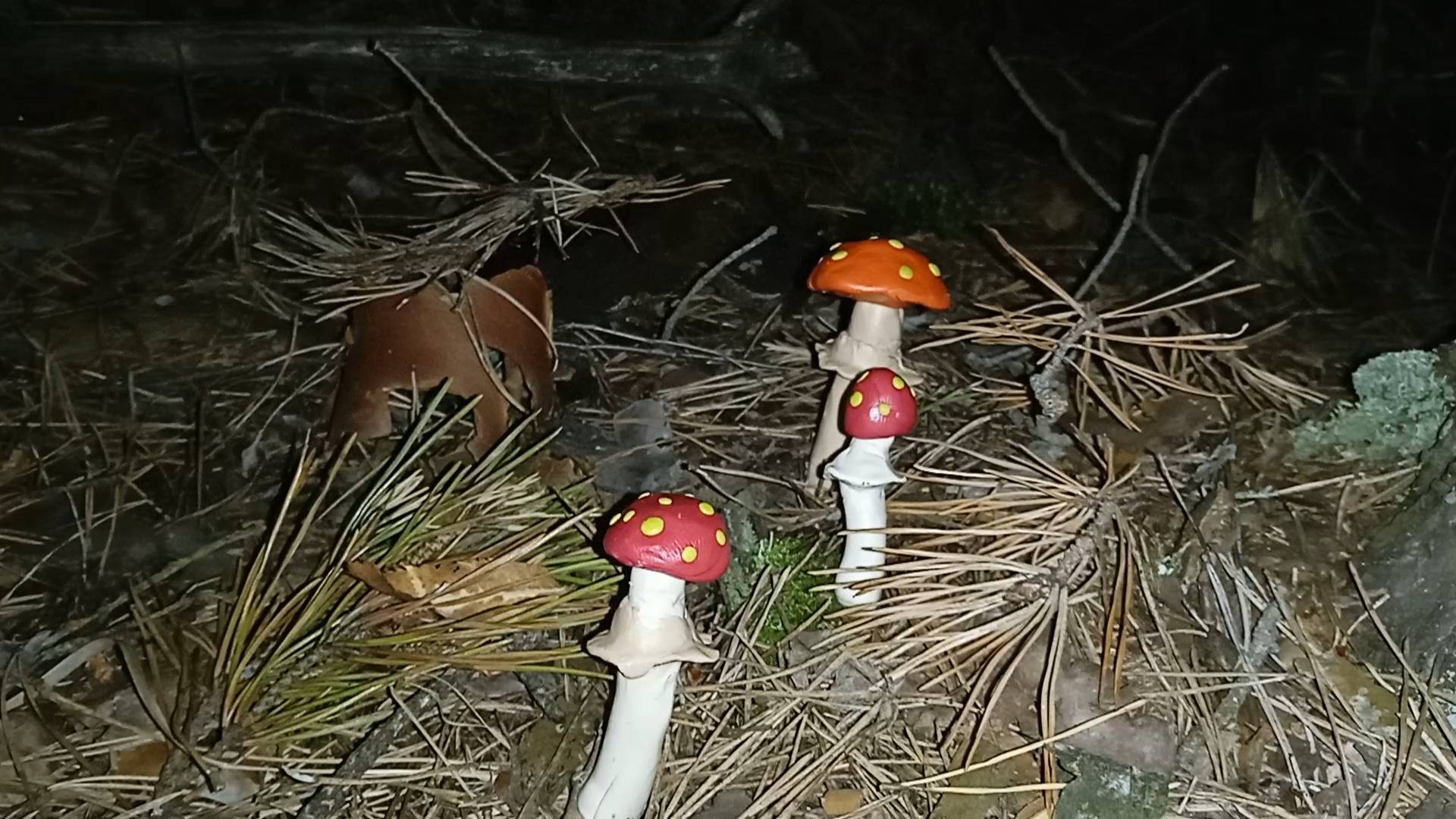 Дураки 9 Вешенка на торте (2025)