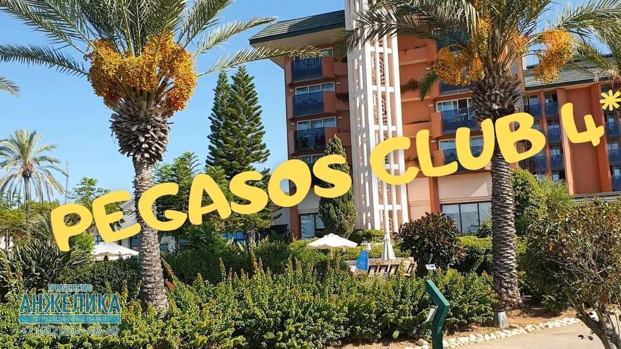 Пегас клуб Инжекум смотреть онлайн