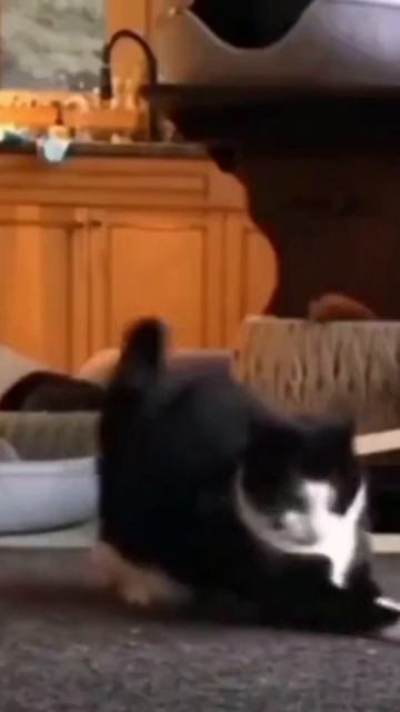 суета 😁😁😁 смотреть онлайн