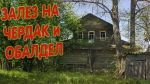 300 ЛЕТ ЭТО БЫЛО ЗДЕСЬ,  УДИВЛЕНИЮ НЕ БЫЛО КОНЦА, ТАКИЕ НАХОДКИ В ЗАБРОШКЕ ТОЛЬКО В МУЗЕЙ