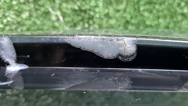 7983078 смотреть онлайн