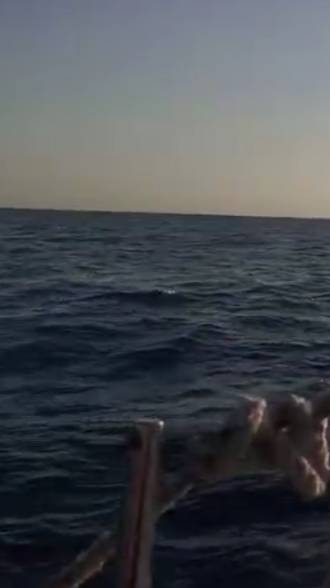 Чёрное море. Мы плывём к закату! смотреть онлайн