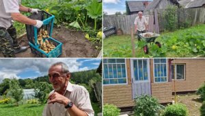 НАКОПАЛИ ДВА ЯЩИКА КАРТОШКИ. ЧТО СДЕЛАНО ПО РЕМОНТУ.