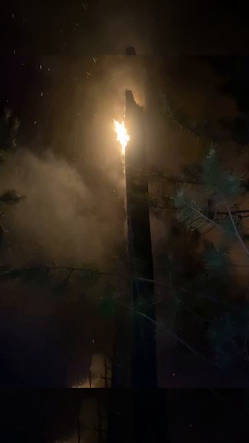 Пожар в ГПЗ «Ялтинский горно-лесной». смотреть онлайн