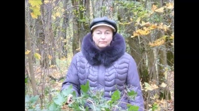 Душа - Автор музыка и поёт Юрий Свеж смотреть онлайн