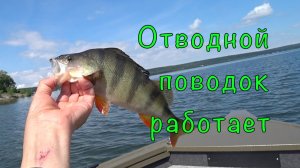 Рыбалка с подписчиком. ОТВОДНОЙ ПОВОДОК в действии.