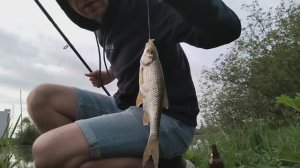 Рыбалка на фидер (Красная Пахра 2025)