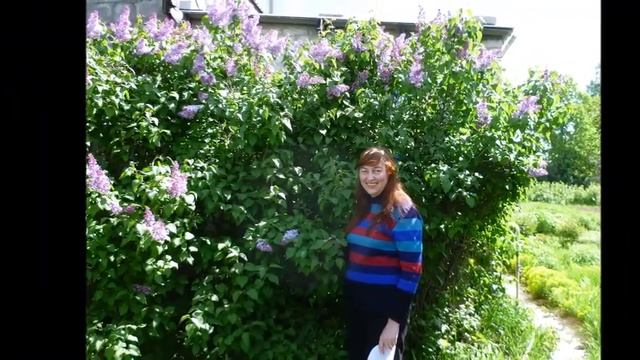 А я несу к тебе цветы -Автор Михаил Кармаш музыка и поёт Владимир Ждамиров смотреть онлайн