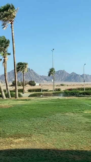 Ну, здравствуй, Шарм 🤗 смотреть онлайн