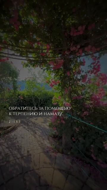 За каждой тягостью наступает облегчение