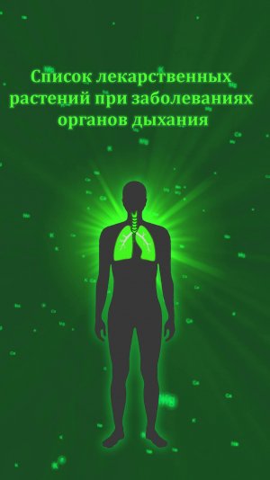 Лекарственные растения при заболеваниях лёгких
