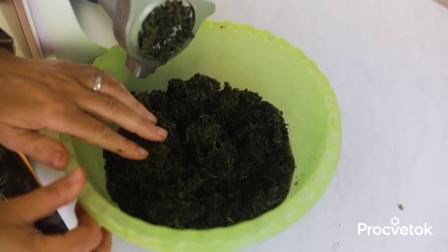 ЕСЛИ ХОТИТЕ ЖИТЬ ДОЛГО И НИЧЕМ НЕ БОЛЕТЬ, сделайте сок из этого сорняка!