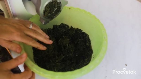 ЕСЛИ ХОТИТЕ ЖИТЬ ДОЛГО И НИЧЕМ НЕ БОЛЕТЬ, сделайте сок из этого сорняка!