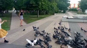 Забота о пернатых друзьях! 2025г.Валуйки.