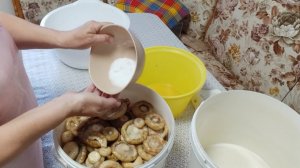 Холодный способ засолки ГРУЗДЕЙ // два способа //