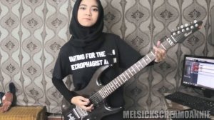 ðµ Mel cover SLAYER -  RAINING BLOOD  [Guitar Cover + TIPS]