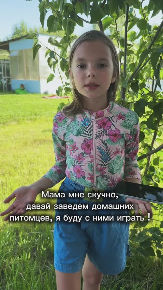 Очень веселые у нас теперь питомцы )