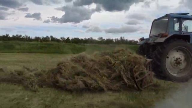 Толкаем сено сеноволокушей. Успеем ли до дождя? смотреть онлайн