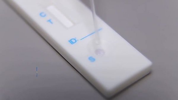 Экспресс-тест на ХГЧ: Точный и быстрый метод коллоидного золота для определения беременности