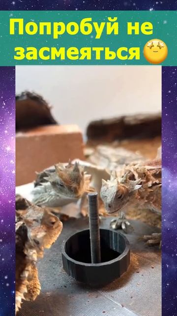 Оуу май...😶 смотреть онлайн