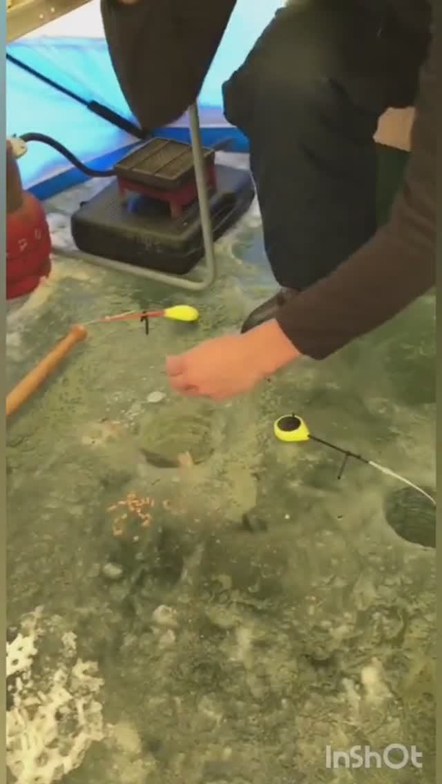 Бешеный клёв огромного карася Зимняя рыбалка со льда #shorts смотреть онлайн