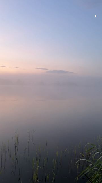 «Где время тает»
#утронаозере #тишина #пробуждение