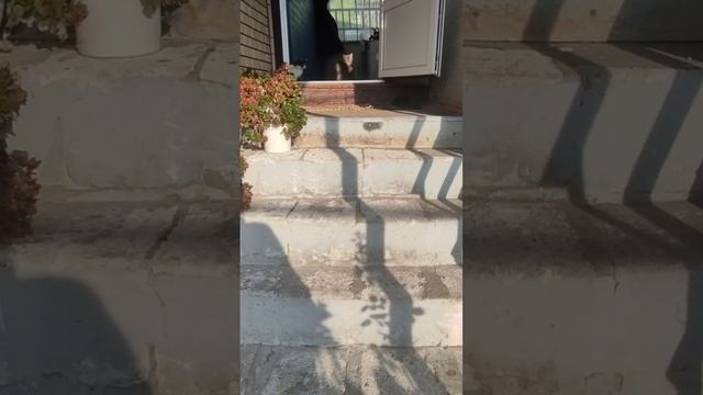 Продается дом в с. Ливенка. Все подробности по тел: 8-905-173-62-48 смотреть онлайн