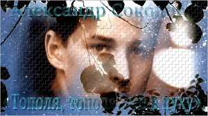 Александр Соколов - «Тополя, тополя, всё в пуху».