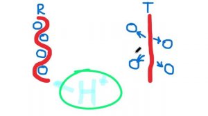 Как кислород передается из крови в клетку_! Эффект Бора