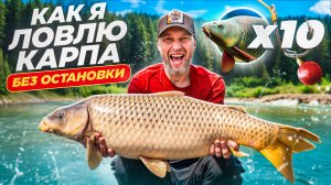 КАК ПОЙМАТЬ МНОГО КАРПА за ОДИН ДЕНЬ? Советы по прикормке и тактике на короткой рыбалке!