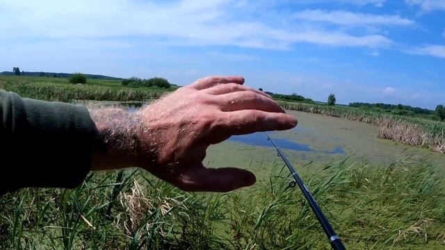 ЗАТЕРЯННОЕ БОЛОТО И СТРАШНАЯ НАХОДКА! смотреть онлайн