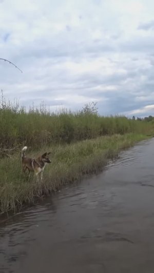 ИНТЕРЕСНАЯ РЫБАЛКА!